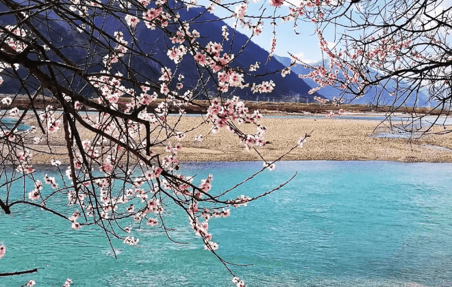 【深入藏地】林芝春季桃花7天6晚