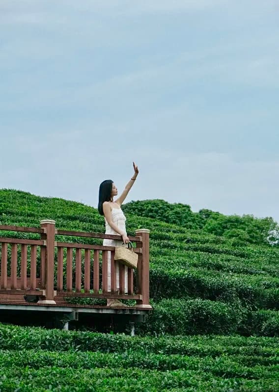 【寻茶之旅】惠州茶旅2天
